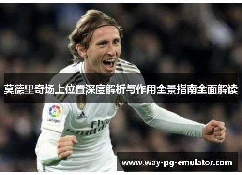 莫德里奇场上位置深度解析与作用全景指南全面解读