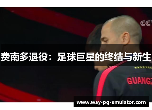 费南多退役：足球巨星的终结与新生