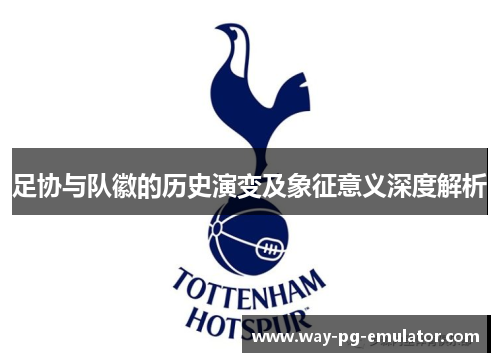 足协与队徽的历史演变及象征意义深度解析