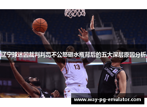 辽宁球迷因裁判判罚不公怒砸水瓶背后的五大深层原因分析