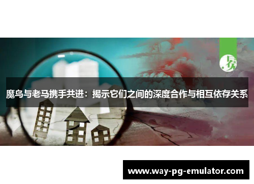 魔鸟与老马携手共进：揭示它们之间的深度合作与相互依存关系